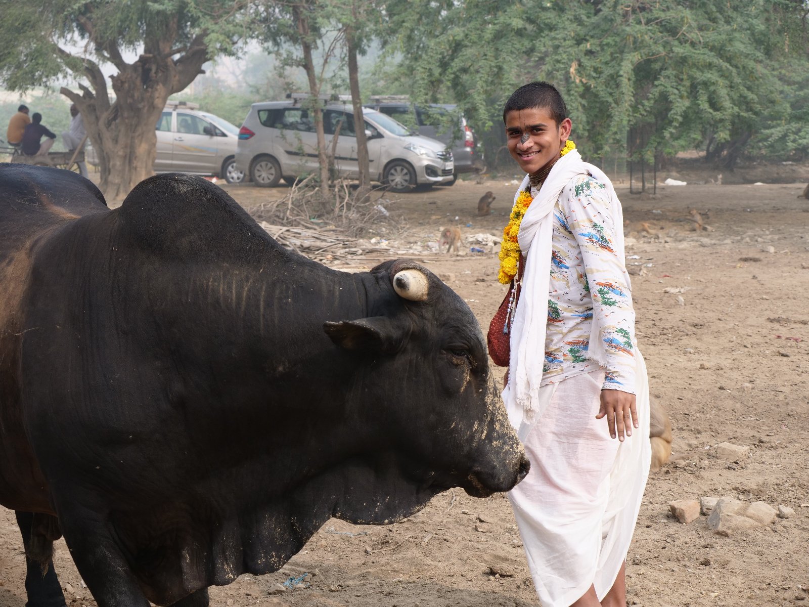  181 Gopashtami Radha kunda Govardhan 19.11.04